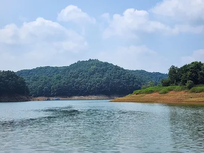 청풍 한버들 허리급및 월척들 호조황입니다