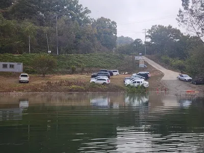 청풍 한버들 조황입니다