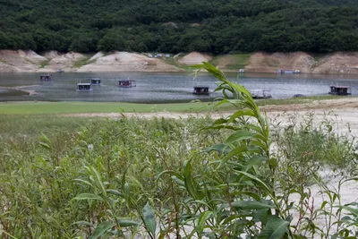 솔낚시터 조황 소식입니다.