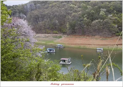 실리곡낚시터 4짜2수.허리급 4수 조황입니다.