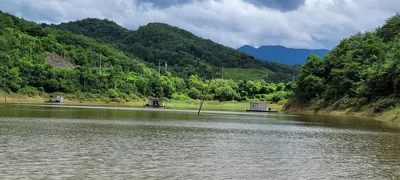 청풍 실리곡낚시터  41cm외 허리급 조황입니다.