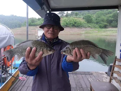 돌감낚시터 조황입니다.