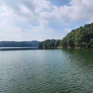 청풍 한버들 허릿급 조황입니다