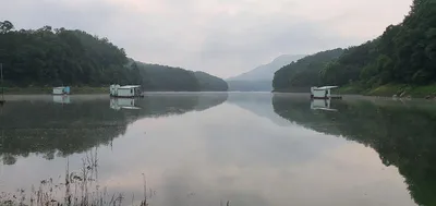 신매낚시터 8월 5일조황