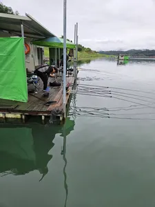 용곡 김기호 낚시터 조황정보 입니다
