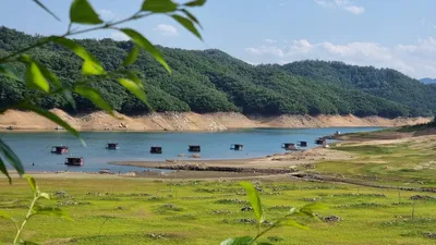 솔낚시터 조황 소식입니다!