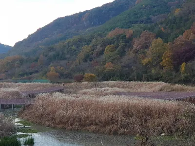 실리곡낚시터 41.8cm입니다.