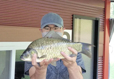 솔낚시터 주말 사짜와 마릿수 조황소식입니다.