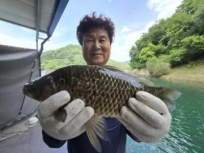 비.바람 그리고 대물들...
