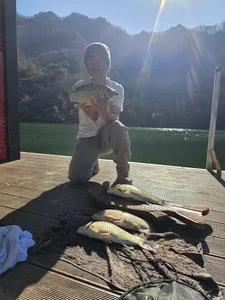 명서낚시터 조황정보입니다