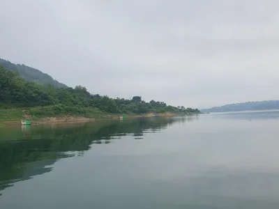 용곡 김기호 낚시터 조황정보 입니다