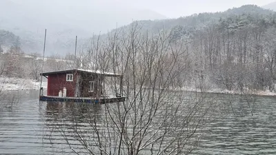 솔낚시터 크리스마스 사짜 등장이요~