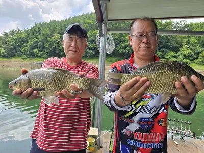 목벌연휴 돌붕어 조황
