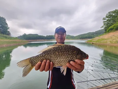 돌감낚시터 4짜 및 붕어조황입니다.