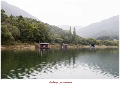 솔낚시터 사짜대물 조황입니다.