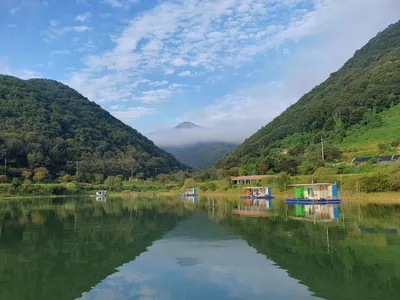 용곡 김기호 낚시터 조황정보 입니다