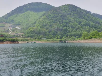 용곡 김기호 낚시터 조황정보 입니다