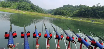 신매낚시터 7월 2일조황 