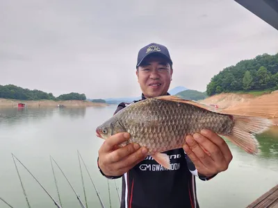 돌감낚시터 4짜 조황입니다.