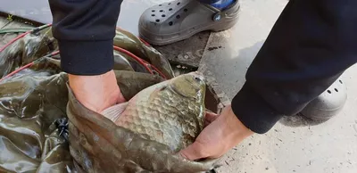 충주호 짱가네낚시터 