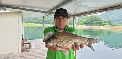 충주호 짱가네낚시터 