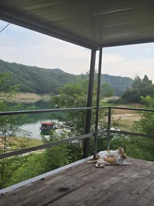 솔낚시터 사짜 및 허릿급월척 조황소식입니다.