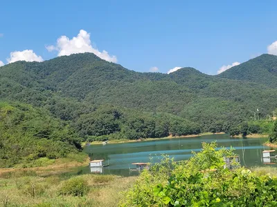 청풍 실리곡낚시터  조황입니다.