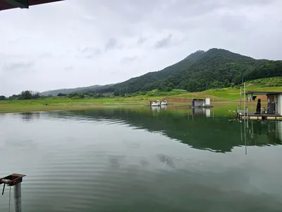 청풍 한버들 조황입니다