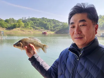 돌감낚시터 붕어조황입니다.