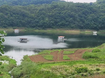 실리곡낚시터 허리급 조황입니다.