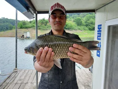 돌감낚시터 조황입니다.