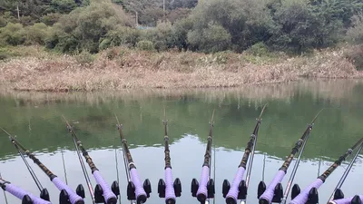 종점낚시터입니다