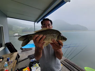 목벌주말조황소식