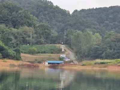 청풍 한버들 조황입니다