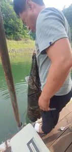 신매낚시터 7월 4일조황 