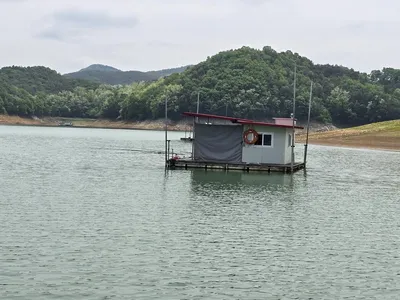 청풍 한버들 조황입니다