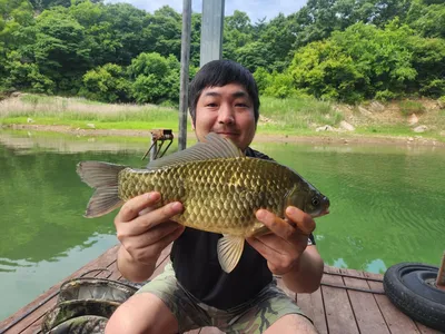 돌감낚시터 붕어조황입니다.