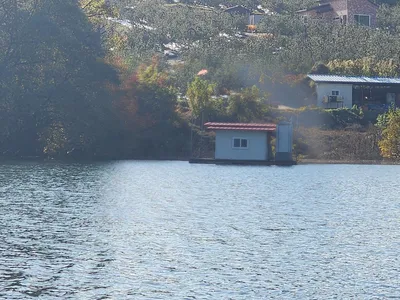 청풍 한버들 조황입니다