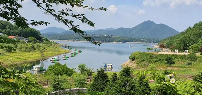 용곡 김기호 낚시터 사짜와 허리급 조황입니다