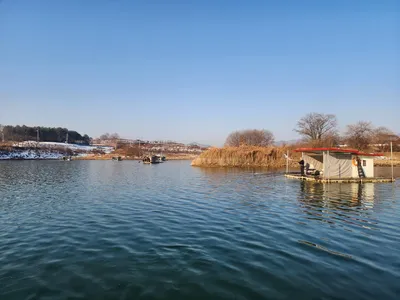 청풍 한버들 허릿급및 월척 조황입니다