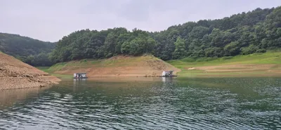 청풍신리낚시터 주말조황입니다