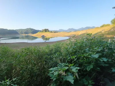 청풍 한버들 조황입니다