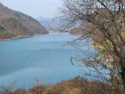 실리곡낚시터  조황입니다.