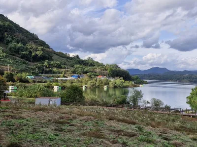 용곡 김기호 낚시터 조황정보 입니다