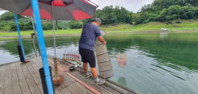 신매낚시터 7월 15일조황