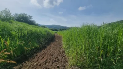 솔낚시터 조황 소식입니다