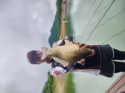 돌감낚시터 4짜 두 수 및 붕어조황입니다.