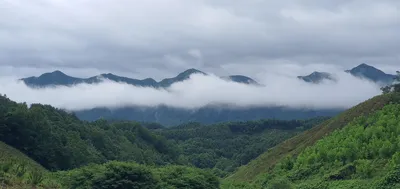 신매낚시터 6월 26일조황 