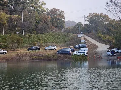 청풍 한버들 조황입니다