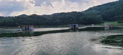 실리곡낚시터  허리급외 마릿수 조황입니다.